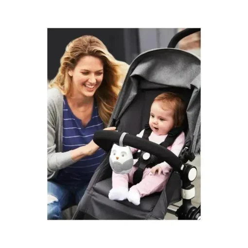 Skip Hop - Stroll &amp; Go Chupeta Portátil para Bebê Coruja