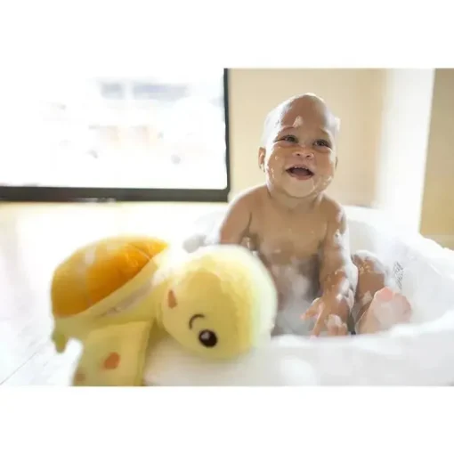 SoapSox, Toy Sponge Taylor The Turtle