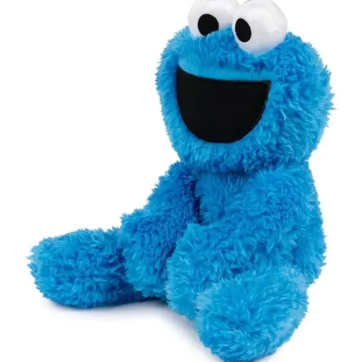 Spin Master - Cookie Monster Leve Junto Amigo 13