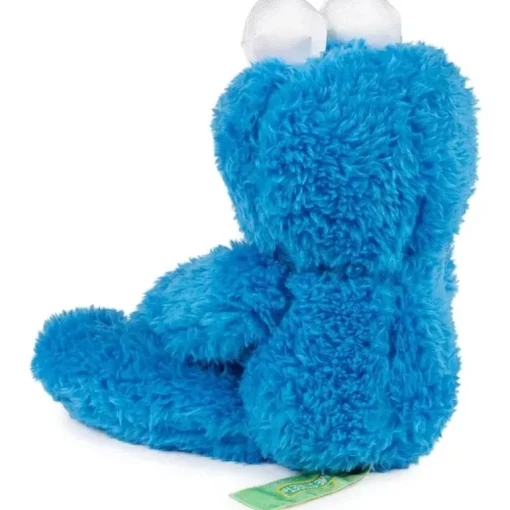 Spin Master - Cookie Monster Leve Junto Amigo 13