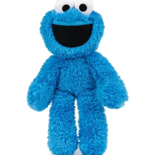 Spin Master - Cookie Monster Leve Junto Amigo 13