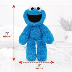 Spin Master - Cookie Monster Leve Junto Amigo 13