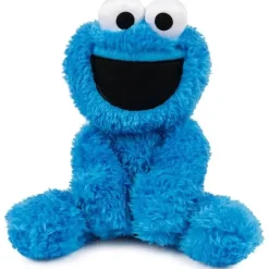 Spin Master - Cookie Monster Leve Junto Amigo 13