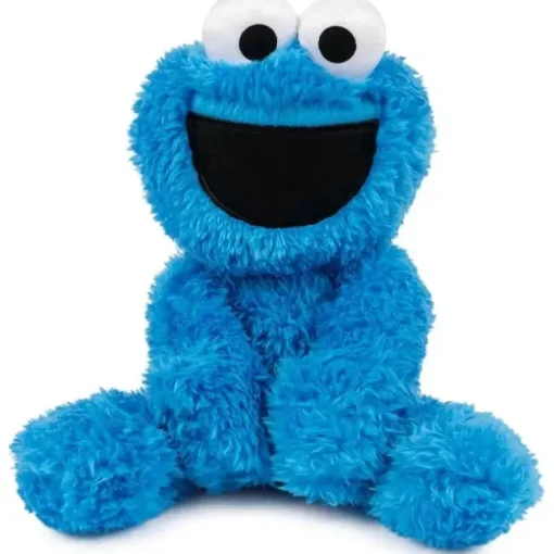 Spin Master - Cookie Monster Leve Junto Amigo 13
