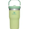 Stanley - copo de aço inoxidável IceFlow de 20 onças com palha, limão