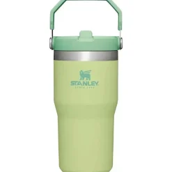 Stanley - copo de aço inoxidável IceFlow de 20 onças com palha, limão