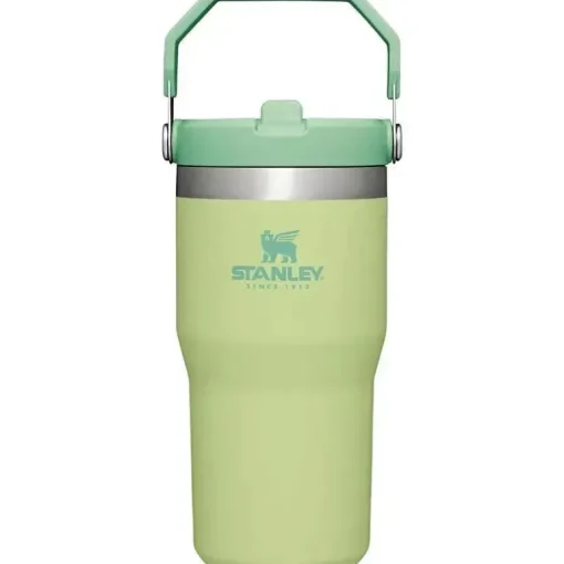 Stanley - copo de aço inoxidável IceFlow de 20 onças com palha, limão