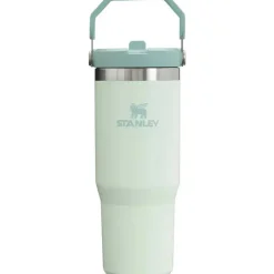 Stanley - copo de aço inoxidável IceFlow de 30 onças com palha e névoa