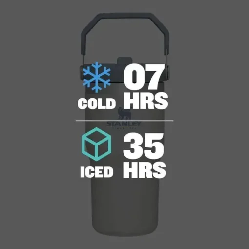 Stanley - copo de aço inoxidável IceFlow de 20 onças com palha, neblina