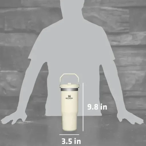 Stanley - copo de aço inoxidável IceFlow de 30 onças com palha, creme
