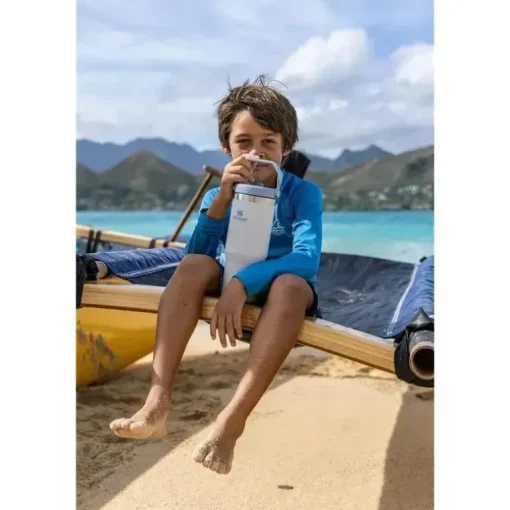 Stanley - copo de aço inoxidável IceFlow de 30 onças com palha, neblina