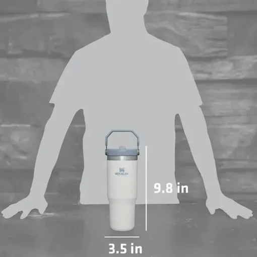Stanley - copo de aço inoxidável IceFlow de 30 onças com palha, neblina