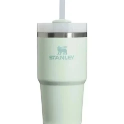 Stanley - Copo isolado a vácuo de aço inoxidável Quencher H2.0 FlowState de 20 onças, névoa