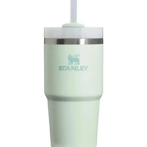 Stanley - Copo isolado a vácuo de aço inoxidável Quencher H2.0 FlowState de 20 onças, névoa