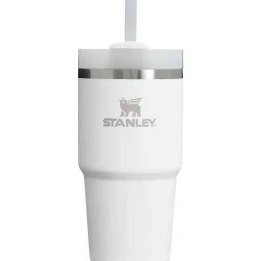Stanley - Copo isolado a vácuo de aço inoxidável 20Oz Quencher H2.0 FlowState, Frost