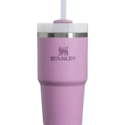Stanley - Copo isolado a vácuo de aço inoxidável Quencher H2.0 FlowState de 20 onças, lilás