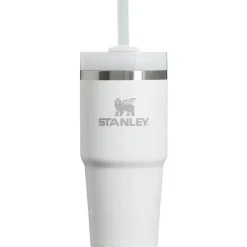 Stanley - Copo isolado a vácuo de aço inoxidável Quencher H2.0 FlowState de 14 onças, Frost