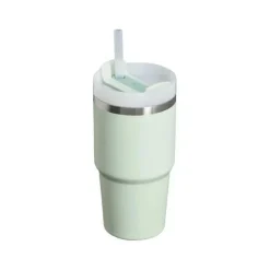 Stanley - Copo isolado a vácuo de aço inoxidável Quencher H2.0 FlowState de 20 onças, névoa