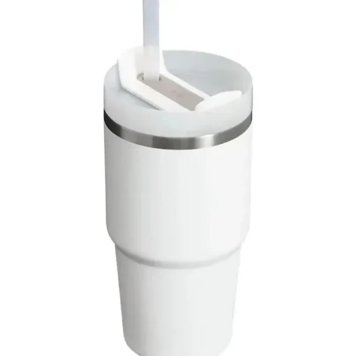 Stanley - Copo isolado a vácuo de aço inoxidável 20Oz Quencher H2.0 FlowState, Frost