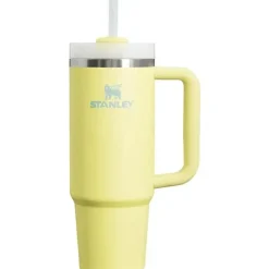 Stanley - Quencher H2.0 FlowState Copo térmico de aço inoxidável com isolamento a vácuo, 30 oz, Pomelo