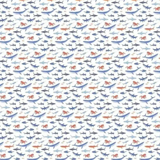 Stephen Joseph - Cobertores de musselina, Tubarão