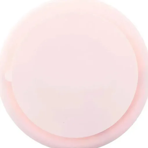 Stephen Joseph 100% silicone placas de sucção para bebês, coelho
