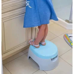 Summer Infant - Cadeira 3 em 1 Potty Sit &amp; Play, Azul/Cinza