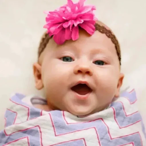 Swaddle Designs - Cobertor Swaddle Chevron Marquisette Lavanda