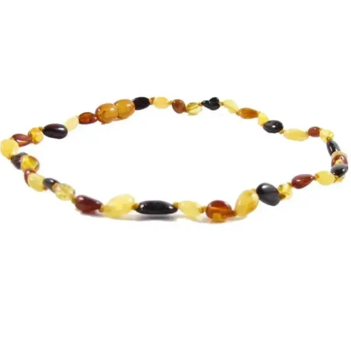 The Amber Monkey - Colar de âmbar báltico polido de 12 a 13 polegadas, Multi Bean POP