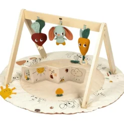 Tiny Love - Gymini W/Book, Garden of Adventure Collection