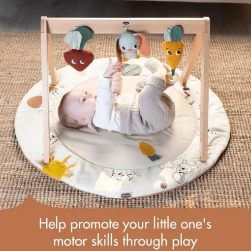 Tiny Love - Gymini W/Book, Garden of Adventure Collection
