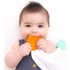 Toothi - Teether Clip, Papaya