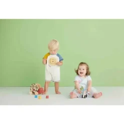 Torta de Lama - Baby Boy Be Kind Lion Shortall