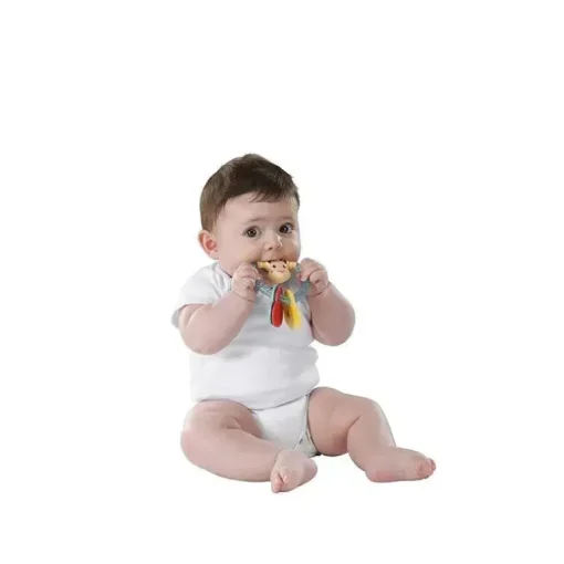 Vulli Sophie a Girafa Coração Chocalho, Baby Teether