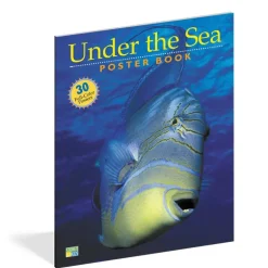 Workman Publishing Pbs Kids Under The Sea Book